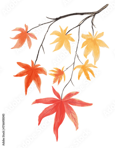 Vector Maple tree branch with red and gold autumn leaves on a white background