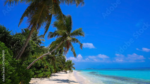 Fototapeta Naklejka Na Ścianę i Meble -  The tropical beach paradise and palm tree shadows over turquoise ocean idyllic maldives beach scene background