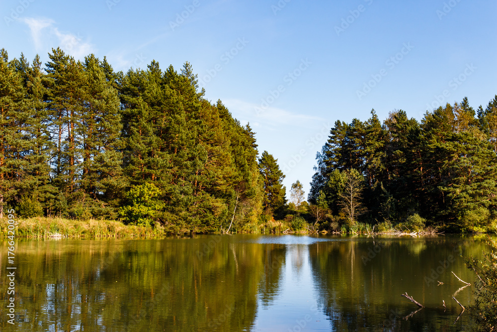 Fototapeta premium Calm forest lake mirrors vibrant green pines under a bright blue sky. A peaceful early autumn landscape, perfect for serene nature views