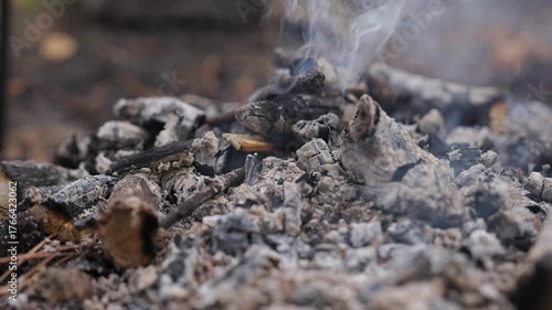 Close-up of smoldering campfire ashes in the forest. Thin smoke slowly rises from burned wood, creating a calm rustic outdoor mood. Autumn leaves and soil visible in soft natural light.