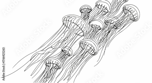 Mushrooms growing on tree bark line art, organic nature illustration.