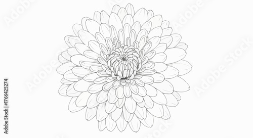 Symmetrical flower pattern geometric line art with clean composition.