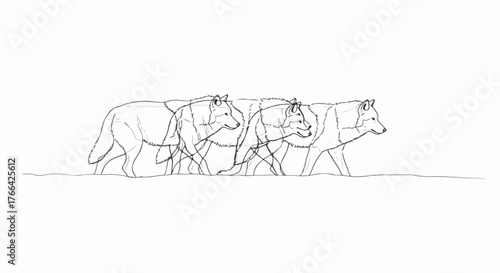 Cows walking in field minimalist line art, natural rural scene illustration.