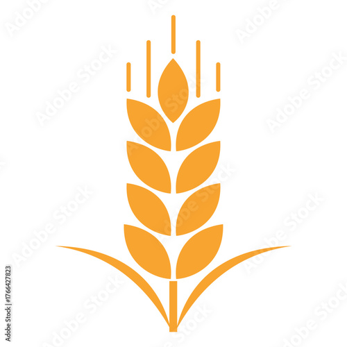 Golden wheat ear or stalk illustration for organic food, farming, bakery, and agriculture themes
