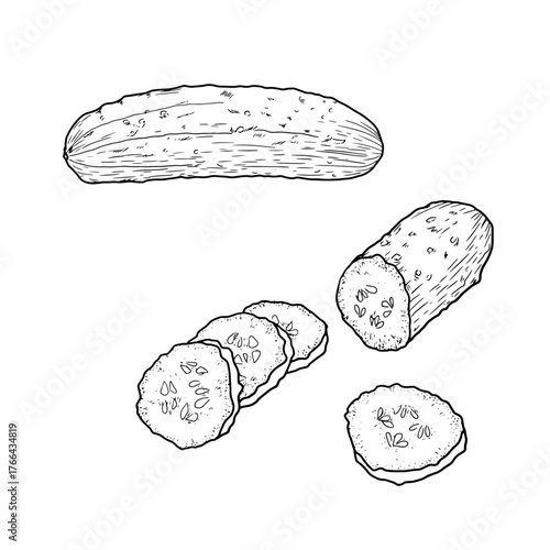 Sliced cucumbers and slices of a hand-drawn sketch. Vector illustration. Fresh rustic vegetables, the set is isolated on a white background. The concept of farming, healthy nutrition and vitamins