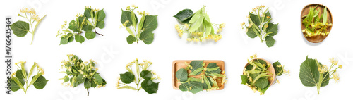 Cuadro en lienzo Collage of fresh linden leaves and flowers on white background