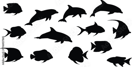 Collection of fish and dolphin silhouettes isolated on white background, marine animal illustration, aquatic life vector design, sea wildlife art.