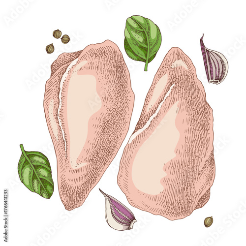 Chicken breast meat hand drawn vector