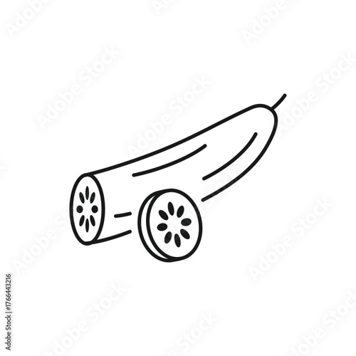 cucumber icon vector, line style icon
