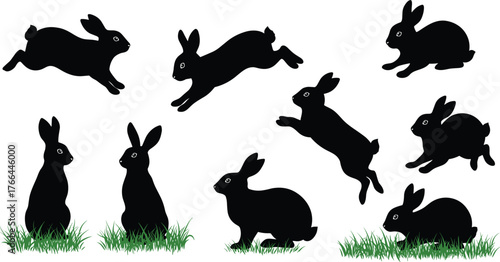 Cute black rabbits jumping and sitting on green grass, wildlife animal vector illustration, spring nature, Easter bunny design, adorable art