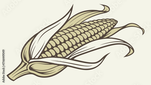 Illustration of Corn with Husk in Vintage Style for Agricultural Design
