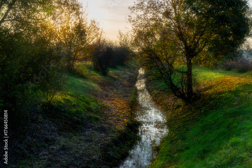 Jesienny poranek nad Stawami Dojlidzkimi, Podlasie, Polska