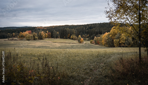 Melancholic autumn landscape with muted colors