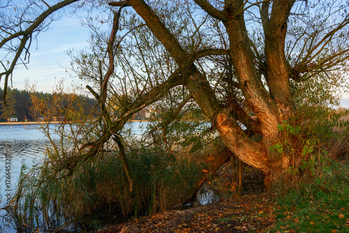 Jesienny poranek nad Stawami Dojlidzkimi, Podlasie, Polska