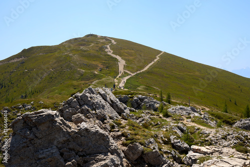 winding path on mountain peak