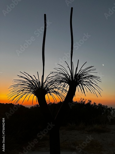 A stunning seascape sunset, Brighton Beach, South Australia. Worth a visit!