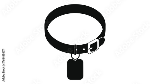Black leather dog collar with tag on for pet safety
