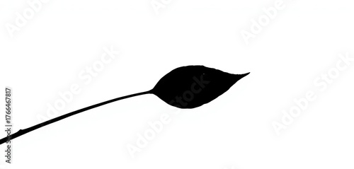 Dark silhouette of a single leaf, isolated on white background,  simple,  illustration