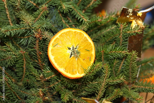 Dried Orange Slice Christmas Ornament on Fir Tree Branches Close-up