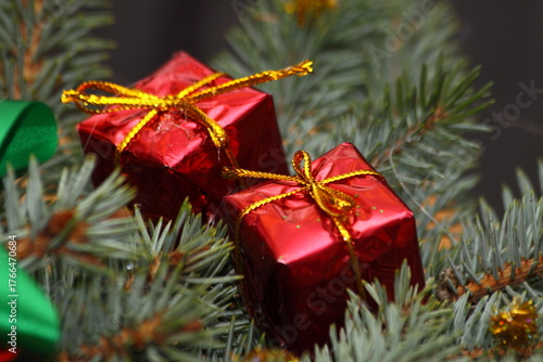 Macro photo of small, metallic red Christmas gift decorations on green pine branches with a gold ribbon, symbolizing holiday cheer and traditional colors.