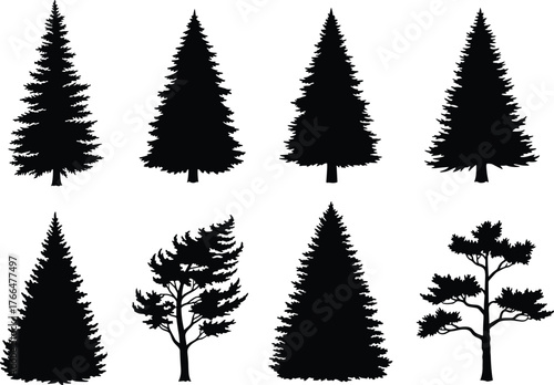 Tree silhouette vector, pine and fir shapes, coniferous forest art, black botanical design, sparse branches, natural foliage illustration