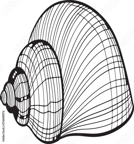 Seashells silhouette collection sea ocean life summer