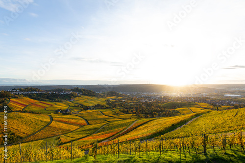Weinberge am Kappelberg in Fellbach im goldenen Licht des Sonnenuntergangs mit Blick auf Stuttgart und Rotenberg im herbstlichen Farbenspiel