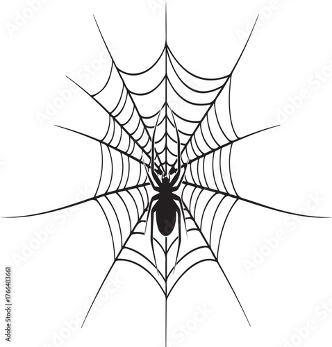 spider on web silhouette vector