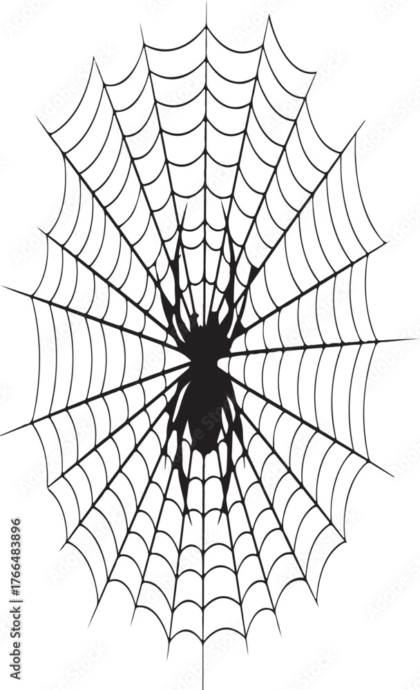 Obraz premium spider on web silhouette vector