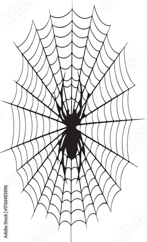 spider on web silhouette vector