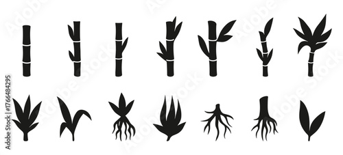 Collection of solid black sugarcane plant silhouettes with stems, leaves, and roots. Ideal for agriculture, farming, crop, organic, and eco-themed designs. Isolated on white background.