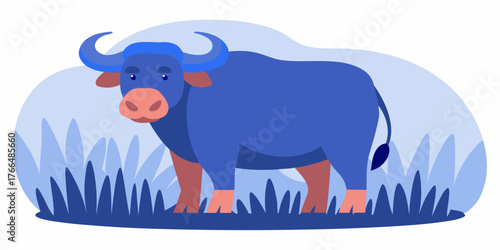 Indian buffalo standing in a field with green grass in daylight  