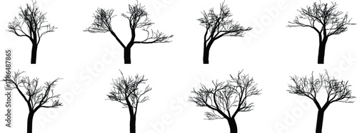 Collection of silhouetted bare trees in different branching patterns and sizes