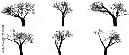 Collection of six stylized bare trees in silhouette against white