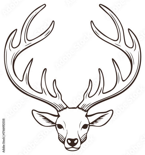 Detailed line art illustration of a deer head with large antlers facing the viewer