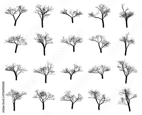 Vector art of collection of 20 bare deciduous trees in silhouette