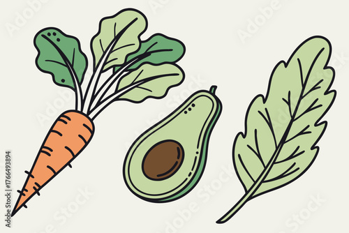 Fresh carrot, avocado and green leaf