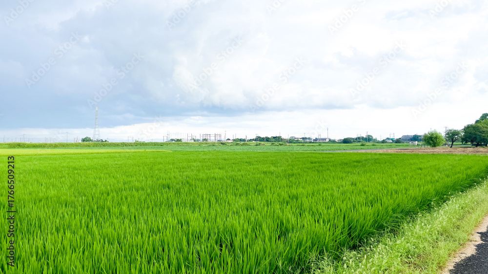 Obraz premium ひょうたん島公園の夏風景