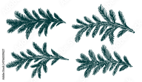 Christmas green tree branch set, hand drawn	
