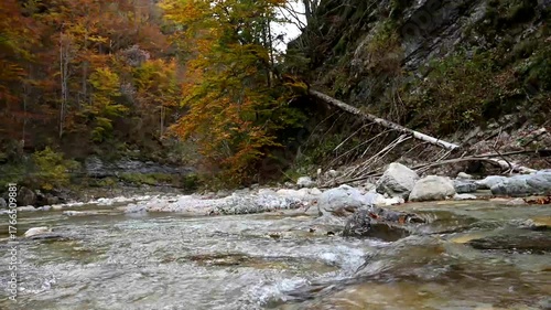 Herbstlicher Gebirgsfluss Erlauf