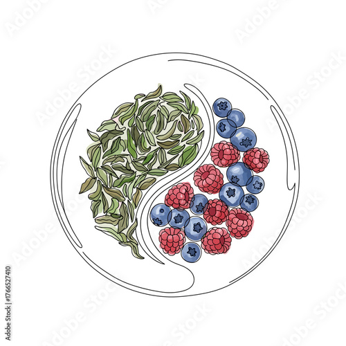 Green tea leaves and raspberries, blueberries or blackberries arranged in a yin-yang shape — one line doodle drawing with watercolor fill, minimalistic vector illustration on white background