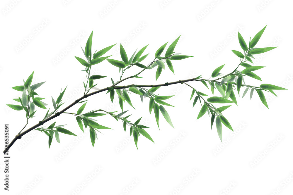 Naklejka premium Green bamboo branch with leaves isolated on transparent background. Bamboo leaves isolated on white background.