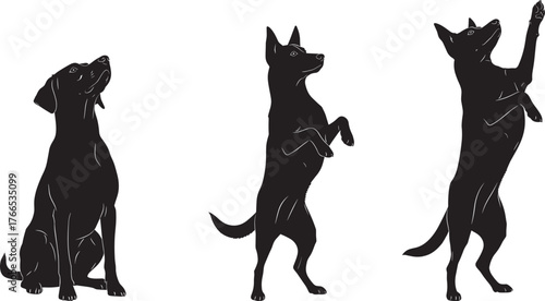 Dog silhouette vector, sitting dog pose, begging dog trick, reaching dog gesture, black pet icon, canine behavior, training illustration, animal graphic art