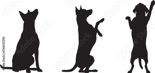 Dog silhouette collection, sitting dog pose, begging dog trick, standing dog gesture, black pet icon, canine behavior, training illustration, animal vector art