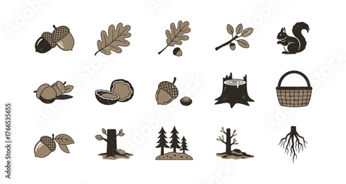 Rustic forest elements collection with acorns, leaves, and squirrel