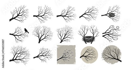 Set of detailed leafless tree branches with bird and nest designs
