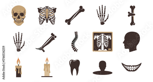 Vintage anatomy collection: skulls, skeletons, and spines for halloween designs