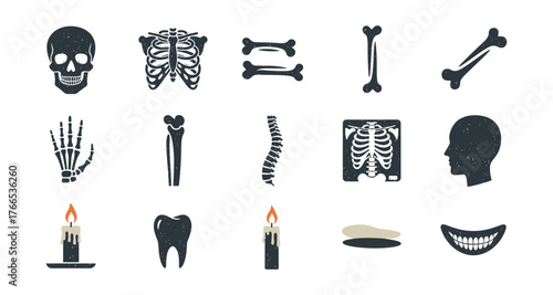 Hand-drawn anatomy elements including skull, spine, and bones on white background