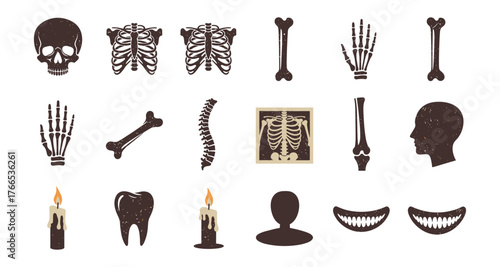 Vintage medical anatomy collection: skulls, skeletons, bones, and human silhouettes