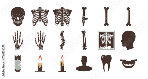 Vintage human anatomy icons collection: skeleton, skull, ribcage, bones, and more